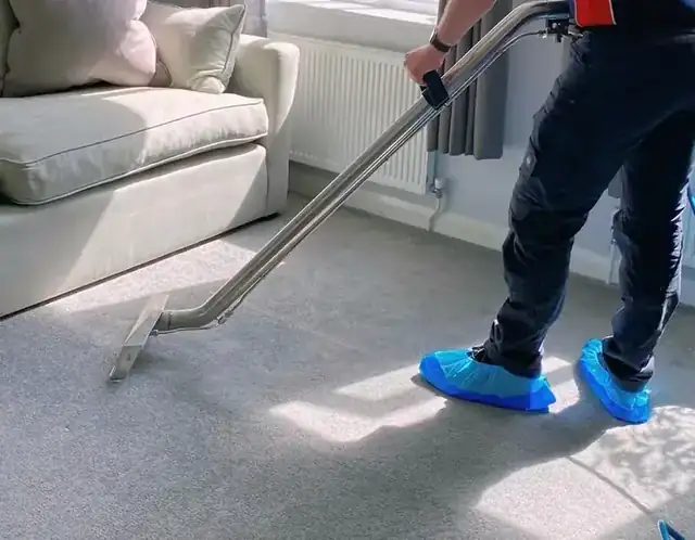 Professional carpet cleaning